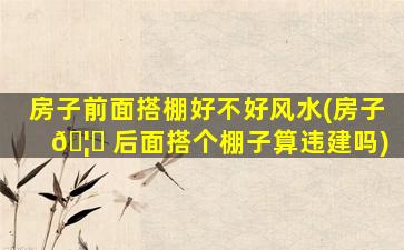 房子前面搭棚好不好风水(房子 🦍 后面搭个棚子算违建吗)